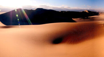 10 astuces pour supporter la chaleur