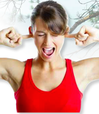 10 mars 2016: Une journée nationale pour écouter nos oreilles.