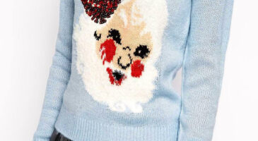 10 pulls (moches) pour Noël