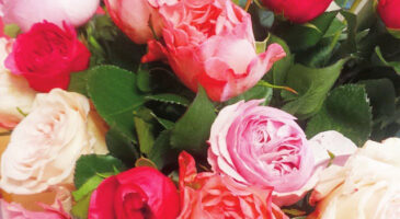 15 petites phrases qui font toujours plaisir à entendre