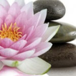 Délicatesse Beauté