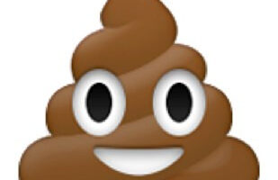 2015 aura été une année bien pourrie