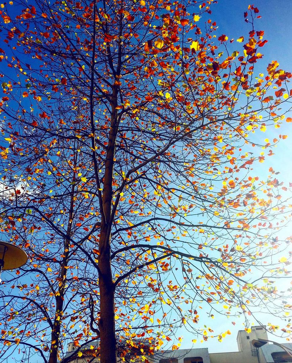 24 bonnes actions à faire au mois de décembre