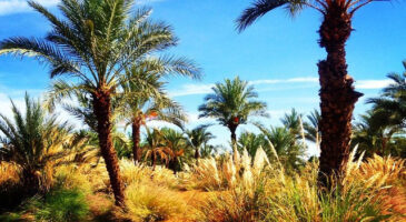 3 destinations pour prendre un peu de chaleur en hiver