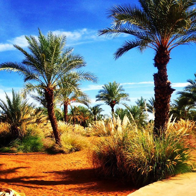 3 destinations pour prendre un peu de chaleur en hiver