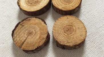 3 idées pour décorer sa table de Noel façon bucheron