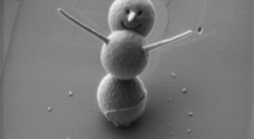 3 microns, c&rsquo;est la taille du plus petit bonhomme de neige au monde !