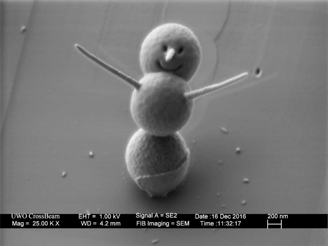 3 microns, c&rsquo;est la taille du plus petit bonhomme de neige au monde !