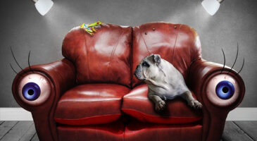 7 choses que je fais devant la télé