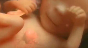 9 mois de grossesse en quelques minutes !