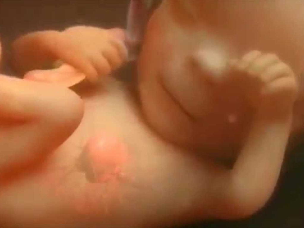 9 mois de grossesse en quelques minutes !