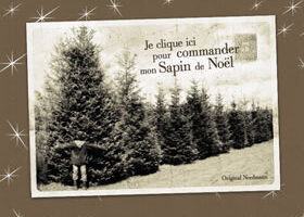 Un sapin, vite fait… bien fait !