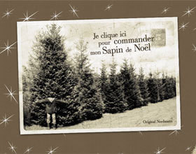 Un sapin, vite fait… bien fait !