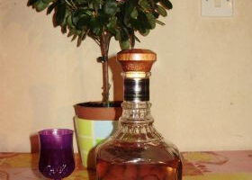 Alcool de fruit au prune sauvage