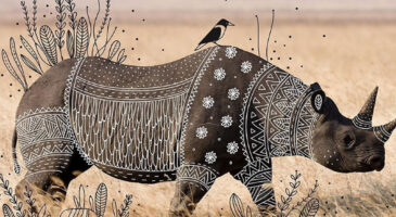 « Animal Doodles » : Rohan Sharad Dahotre sublime des photos d’animaux sauvages