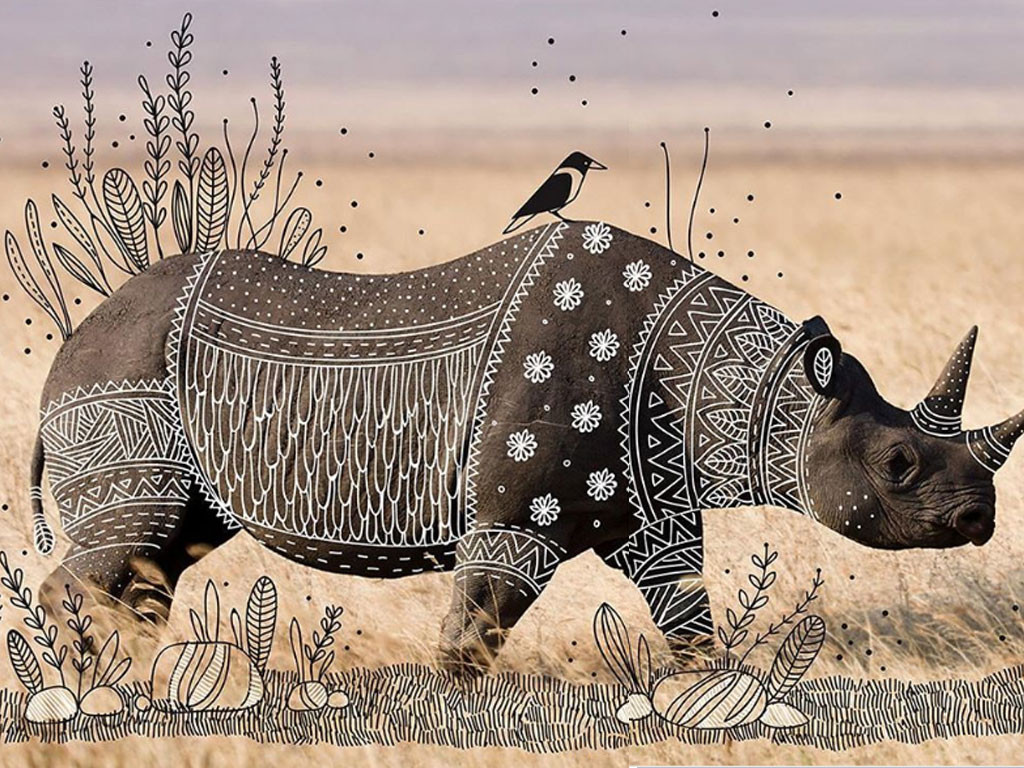 « Animal Doodles » : Rohan Sharad Dahotre sublime des photos d’animaux sauvages
