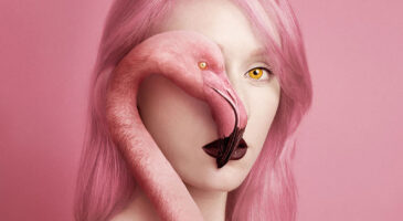 Animeyed, une série de photos troublante et magnifique