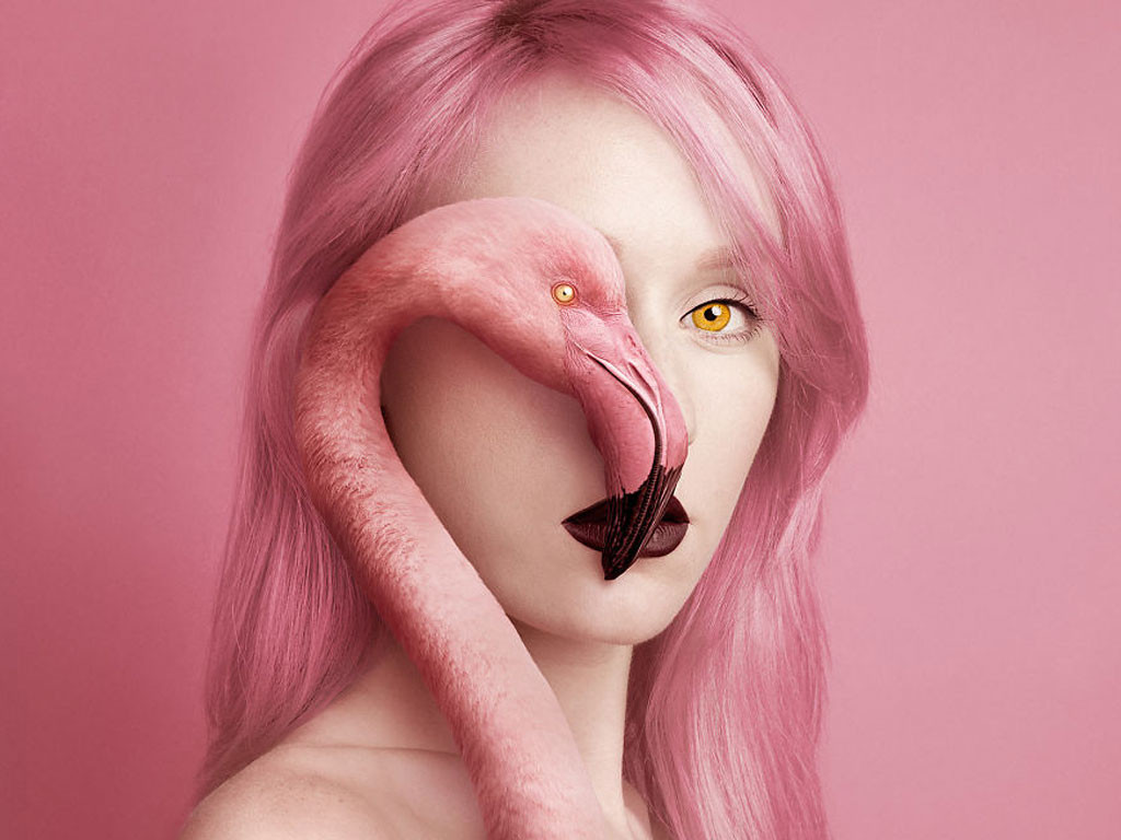 Animeyed, une série de photos troublante et magnifique