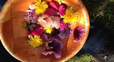 Apprendre à reconnaître, cultiver et utiliser les plantes