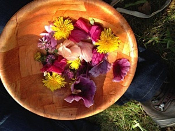 Apprendre à reconnaître, cultiver et utiliser les plantes