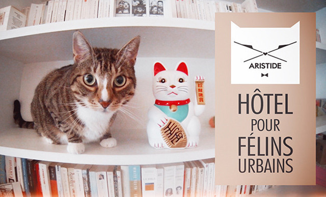 Aristide : Enfin un endroit où on aura plus mauvaise conscience de laisser son chat !