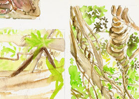 Odeurs volées par un parfumeur en voyage…