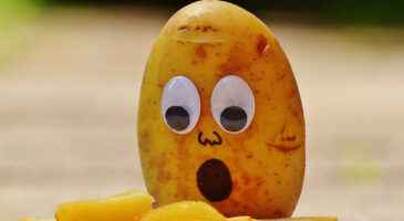 Bien reussir ses frites