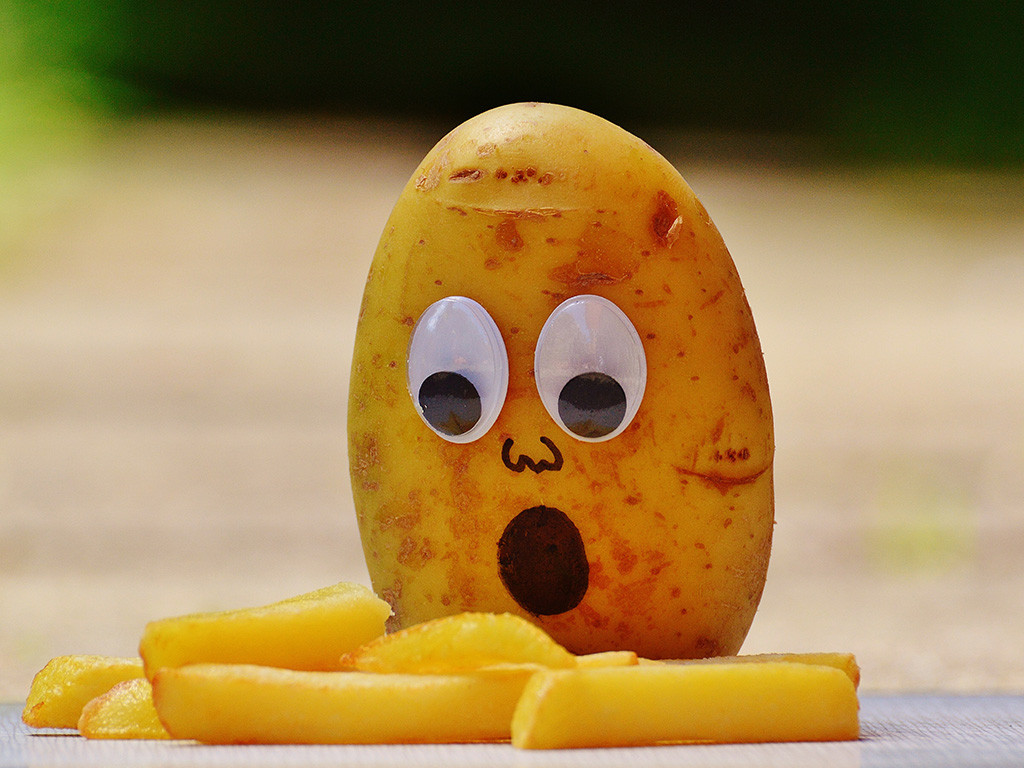 Bien reussir ses frites