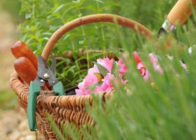 Dimanche 15 juin : « Maison, jardins, bricolage : du rêve à tous les prix