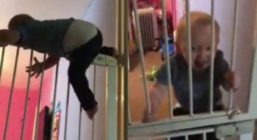 Ce petit garçon est le champion de l&rsquo;évasion par escalade !