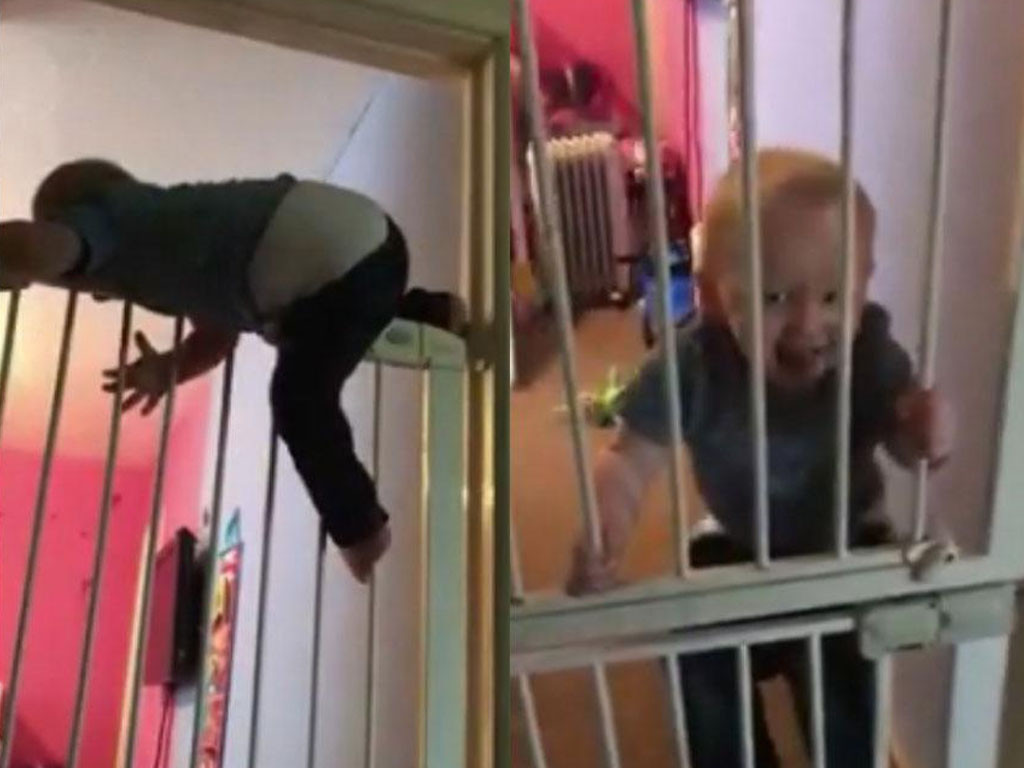 Ce petit garçon est le champion de l&rsquo;évasion par escalade !