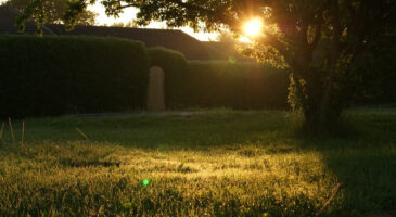 Ce qui a changé quand j’ai déménagé en province