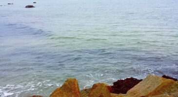 Ces endroits où je rêve de vivre