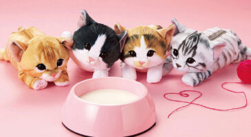 Ces trousses chat font fureur