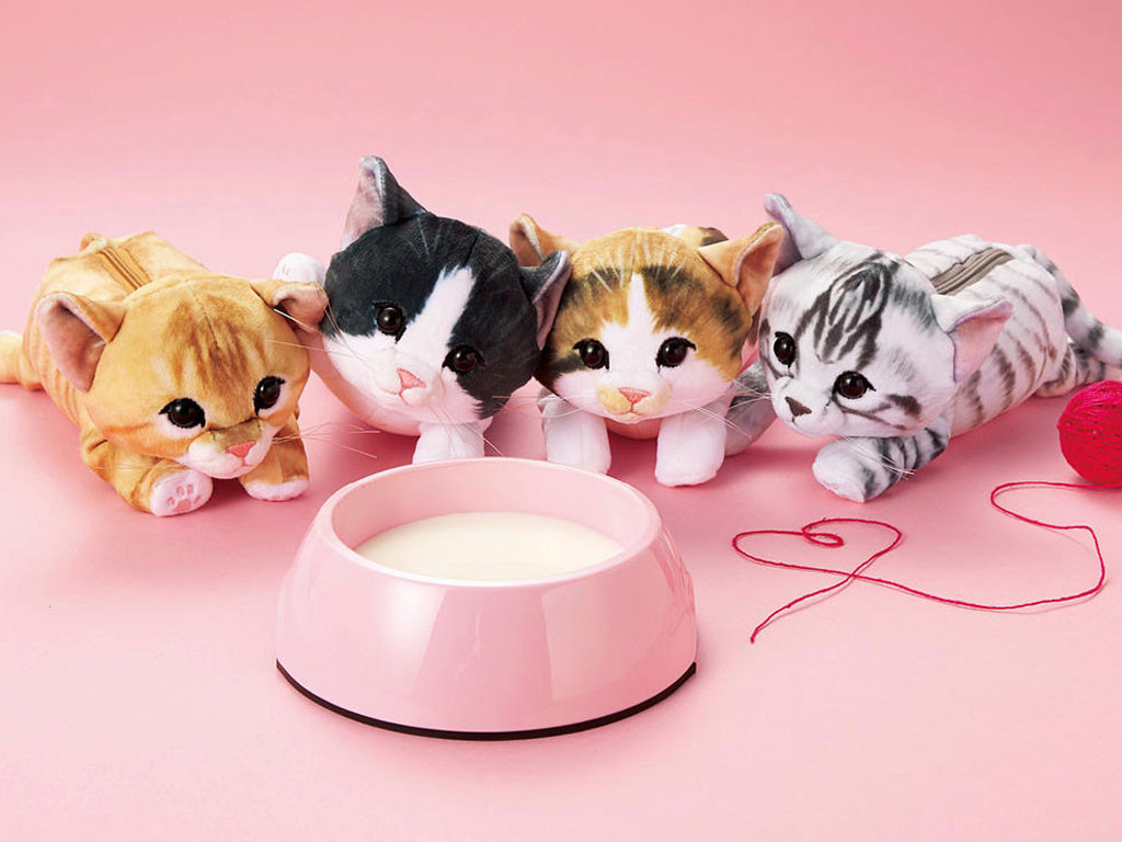 Ces trousses chat font fureur