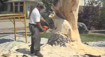 Cet homme sculpte un arbre mort de façon fabuleuse !
