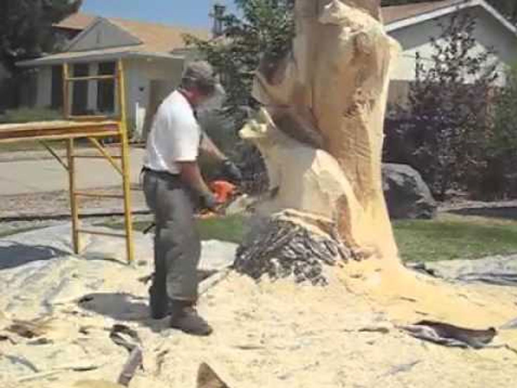 Cet homme sculpte un arbre mort de façon fabuleuse !