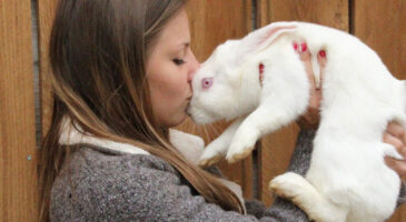 Cette ado a ouvert un refuge pour lapins, cochons d’inde et chinchillas en Isère