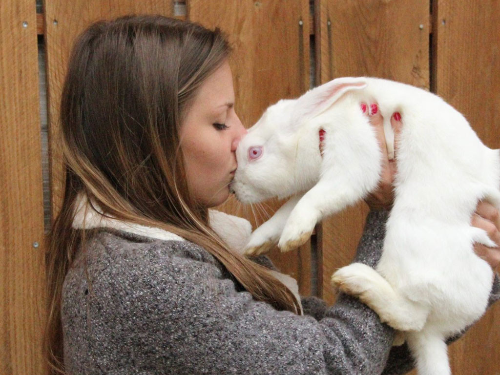 Cette ado a ouvert un refuge pour lapins, cochons d’inde et chinchillas en Isère