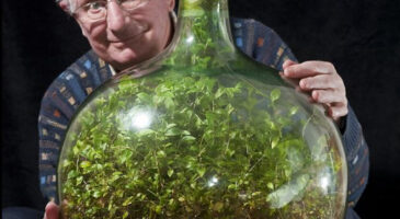 Cette plante est enfermée depuis 57 ans dans une bouteille et n&rsquo;a été arrosée qu&rsquo;une seule fois !