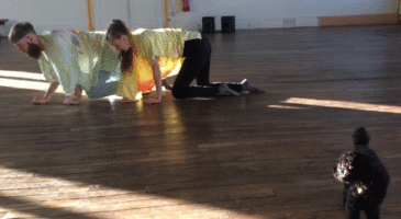 Cette troupe organise des spectacles pour animaux