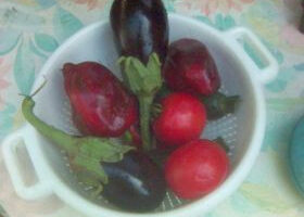 Légumes d&rsquo;été grillés