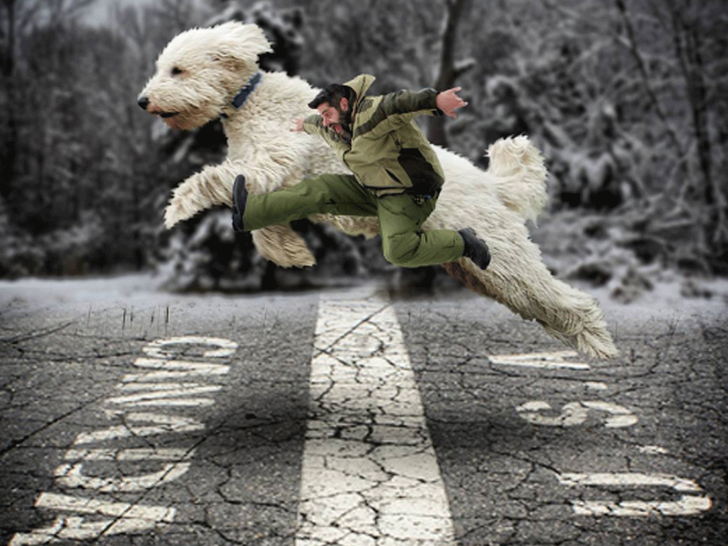 Chris Cline : photographe et maître en or !