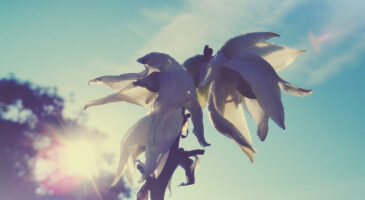 Comment ne pas déprimer à la fin de l&rsquo;été ?