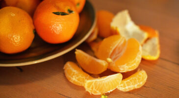 Comment reprendre une alimentation équilibrée après l’été ?