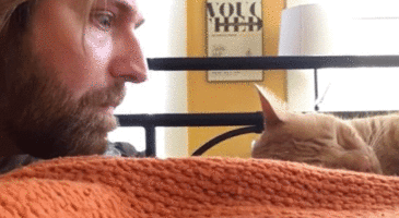 Comment se venger de son chat ? Il a trouvé la réponse !