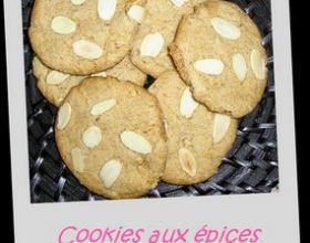 Cookies aux épices