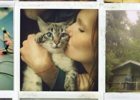 Coup de cur de la rédaction : Cocoon