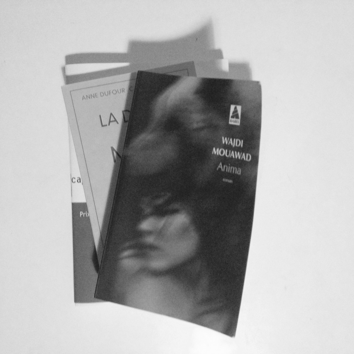 Dans ma « pile à lire »