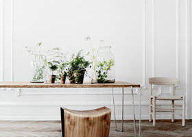 La déco se végétalise !